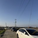 화사하개 | [세종 조치원 벚꽃 명소] 2026 실시간 만개🌸 이번 주 절정 피크!