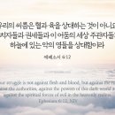 네뜨네일 - 원주시 | 네뜨네일
