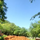 좋은한증막 이미지