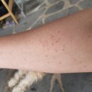 삼탄슈퍼 이미지