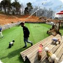 맡겨주개 | 파주애견미용 잘하는 곳 리드펫