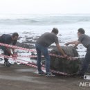 예래동사무소 이미지