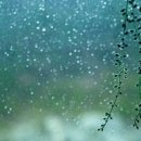 목터져라 이미지