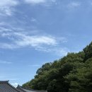 청와아파트 | 가족들🧑‍🧑‍🧒과 국내여행기 (김천 직지사 템플스테이🇰🇷📿🙏🏻편)