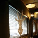 가젤휘트니스 이미지