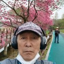소소한 미국이야기 ㅡ9년만에 어지럼증으로 조퇴를 이미지