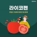 토마토 속 라이코펜 효능 이미지