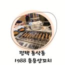 모산골 | 평택 동삭동 모산골맛집 양고기 양갈비 용용1988양꼬치