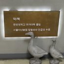 차호인정형외과의원 이미지