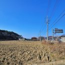 창녕공설운동장 이미지