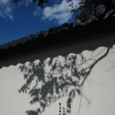 스테이한유 이미지