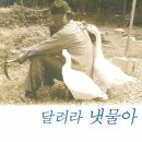냇물