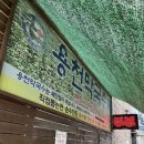 [제천ㅣ라운딩] 1박 2일 36홀 “킹즈락cc” 극한 여름캠프 우중 라운딩 : 1일차