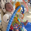 시전농장 이미지