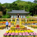 토지면 연곡사 입구 이미지