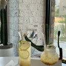 보타니코 이미지