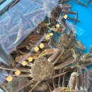 대가축산 이미지