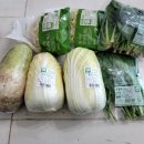 충무찜 | [한살림 물품 후기 &amp; 집밥] 쌈배추 소고기찜, 봄동 된장국, 봄동전, 충무 김밥