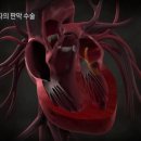 자스민 동물병원 이미지