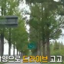 메타381 이미지