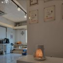 필라펠리스 이미지