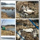 대요낚시터 이미지