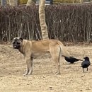 시민공원 남문 인근-1 머니투데이