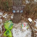 별이애견 이미지