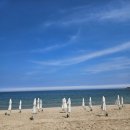 진하숯불갈비 이미지