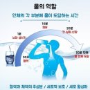 신진대사 촉진하는 &#39;물의 효능&#39; 이미지