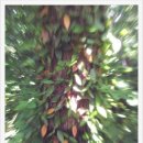 호장농장 이미지