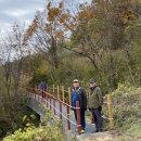 야생화마을펜션민박 이미지