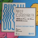 로핏 스튜디오 | 벡스코 전시관 '부산 디자인 위크' 관람 후기1편 - 눈도 감탄도 바빳던 시간의 기억