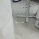 말랑말랭 네이버블로그