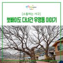 우명동 서구 우명길 대전 네이버블로그
