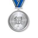 대한민국 태극시범단 이미지