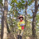 원주굽이길 7코스 고바우길 이미지