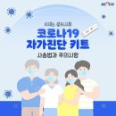 코로나 19자가진단 키트 사용법과 주의사항 이미지