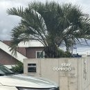 스테이 오후 이미지