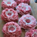 나누리스토어 이미지