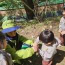 실내초병설유치원 이미지