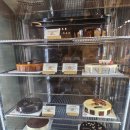 가-11 | 이탈리아 신혼여행 돌로미티 투어 : 겨울 11월 비수기에 가본 후기 feat.엘나스