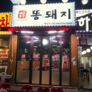 제주토종똥돼지 이미지