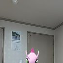 한다리길~한다리길4번길 이미지