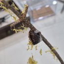 춘아농장 이미지