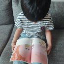 읽고 쓰고 문해력 쑥쑥 이미지