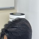 헤어메머리