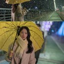 선재 - 강남구 | 선재