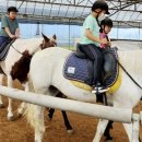 교동초등학교 지석분교 이미지