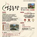 영금농장 네이버블로그